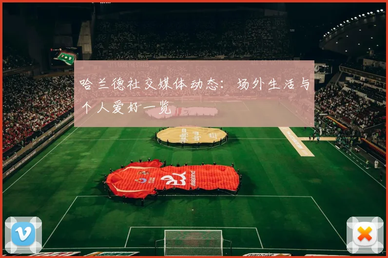哈兰德社交媒体动态：场外生活与个人爱好一览